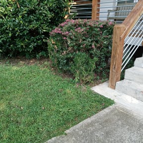 Bush Trimming by Ground Pro Maintenance, LLC. reviewed on November 4, 2020