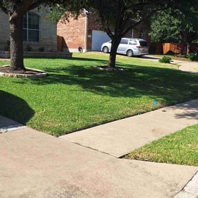 landscaping services by A Closer Look Residential Inspections LLC reviewed on July 20, 2023