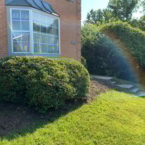 Bush Trimming by GoFresh Lawn Care reviewed on August 17, 2025