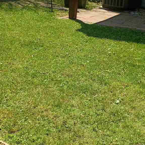 Flower Bed Weeding by Hydra Lawn and Outdoor reviewed on May 15, 2026