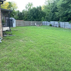 landscaping services by BALBOYS LAWNCARE SOLUTIONS LLC reviewed on August 18, 2025