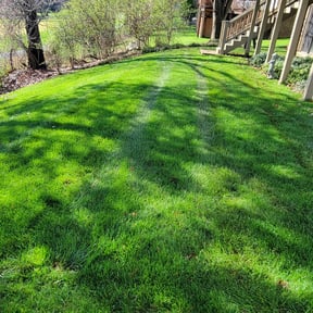 gardening service by BushesGreenerLawn reviewed on May 5, 2024