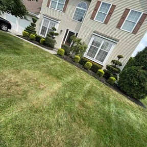 Bush Trimming by Alwaysready landscaping reviewed on October 20, 2025