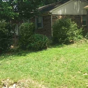 Bush Trimming by Wynstra Lawn Care LLC reviewed on August 17, 2025