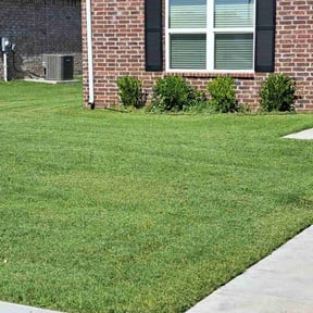 yard service by Terra Turf Landscape reviewed on December 14, 2025