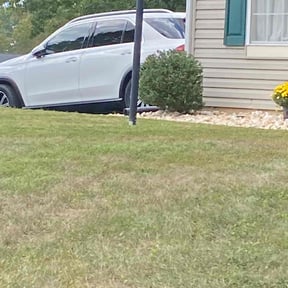 Bush Trimming by Riverside reviewed on December 25, 2025