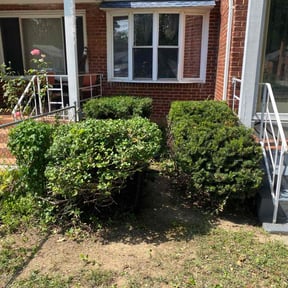 Bush Trimming by Mauler Mowing LLC reviewed on January 31, 2026