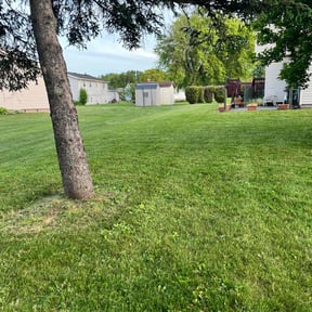 lawn care by Keep It Green reviewed on June 7, 2025