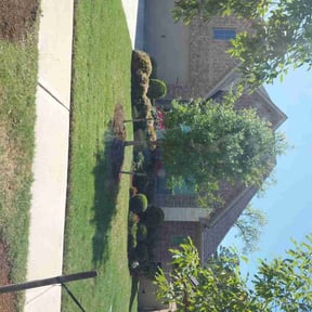 landscaping by Lawns by leo reviewed on November 23, 2025