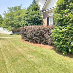 Bush Trimming by Land Elements inc reviewed on August 13, 2025