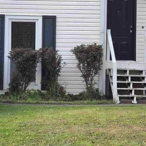 Bush Trimming by Big O Lawn Care reviewed on March 13, 2026