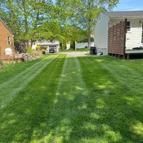 yard care by M&amp;D lawn care L.L.C reviewed on November 22, 2025