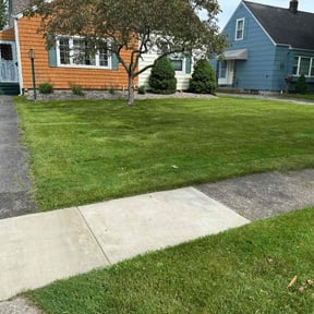 lawn care services by Top Dog Lawn Care reviewed on May 25, 2025