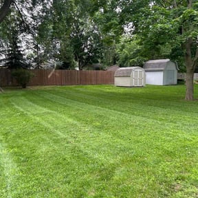 yard service by Spur LandCare reviewed on August 16, 2025