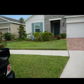 Bush Trimming by Doms Lawn Care reviewed on August 19, 2025