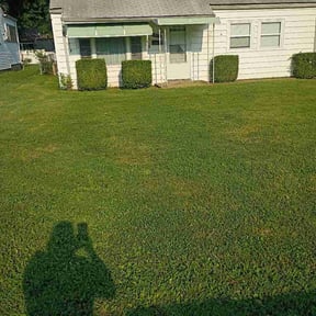 Bush Trimming by Integrity lawns reviewed on August 3, 2026