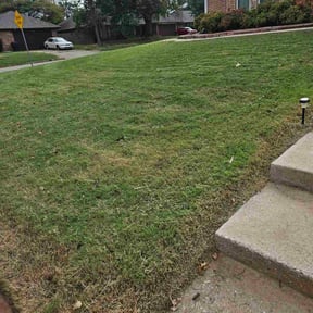 Bush Trimming by MM Lawncare &amp; Landscaping LLC reviewed on October 18, 2025