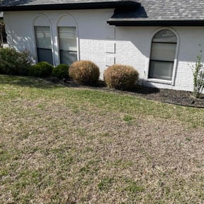 Bush Trimming by Saving Grace Services Dba reviewed on July 23, 2025