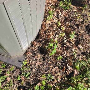 Bush Trimming by On the go grass trimming reviewed on June 9, 2026