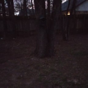 Leaf Removal by D&W Landscaping reviewed on August 20, 2025
