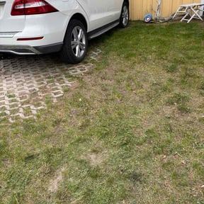 Flower Bed Weeding by Naturalis Landscaping reviewed on May 30, 2026