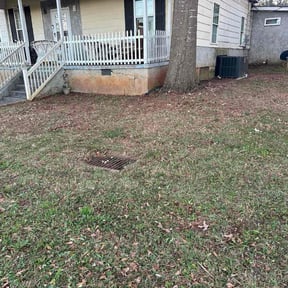 Leaf Removal by Handy Jim Dandy reviewed on November 21, 2025