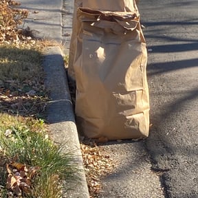 Leaf Removal by Home services reviewed on August 20, 2025