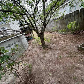 Leaf Removal by Home Care by The Beach LLC reviewed on June 2, 2026
