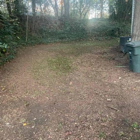 Leaf Removal by Parker Landscape &amp; Maintenance reviewed on September 18, 2025