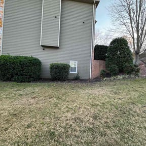 Bush Trimming by TJ’s lawn care reviewed on August 18, 2025