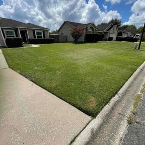 landscaping services by Terrence Johnson reviewed on July 16, 2025