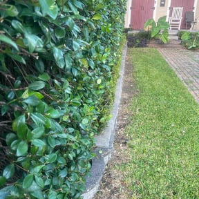 Bush Trimming by Brian B's Lawncare Service reviewed on August 13, 2025