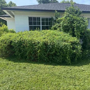 Bush Trimming by McKenzie Landscaping reviewed on December 7, 2025