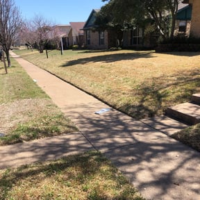 Leaf Removal by Economy lawn care reviewed on September 16, 2025