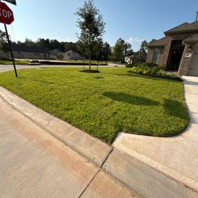 yard service by Pine Forest Lawn Care reviewed on August 17, 2025