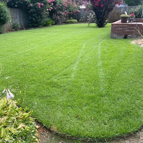 yard work by Uptown Lawn Care reviewed on August 20, 2025