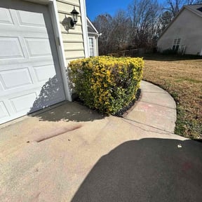 Bush Trimming by Choice Specialties LLC reviewed on December 3, 2025