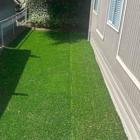 Leaf Removal by zen gardens by Trevor reviewed on June 17, 2026