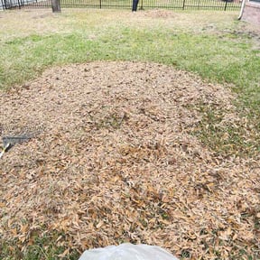 Leaf Removal by Early Risers Lawncare Service reviewed on March 8, 2026