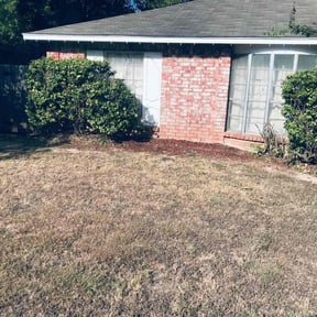 Bush Trimming by In Between The Lines LLC reviewed on November 21, 2025