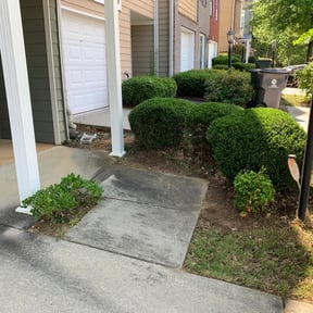 Bush Trimming by Torres Lawn Care reviewed on August 19, 2025
