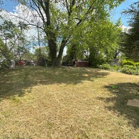 Bush Trimming by Lawn Ranger reviewed on April 20, 2026