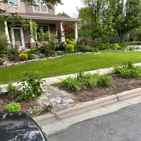 yard service by Champion outdoors reviewed on August 15, 2025