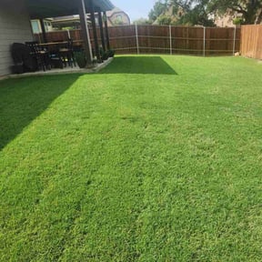 yard work by Orange Tree Properties LLC reviewed on December 14, 2025