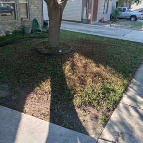 Leaf Removal by K Sisters Lawncare reviewed on September 21, 2025