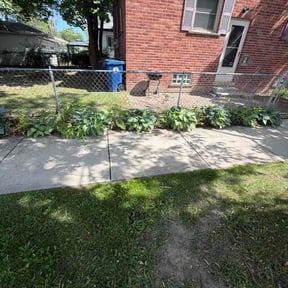 Bush Trimming by Wiley green solutions reviewed on June 1, 2026