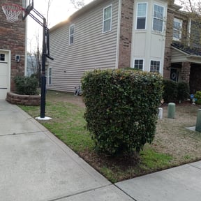 Bush Trimming by Cutting edge lawn service reviewed on August 21, 2025