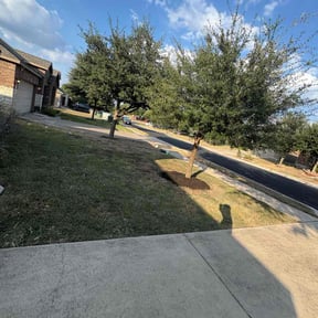 Tree Trimming by Vaquero Hills Landscaping llc. reviewed on November 24, 2025