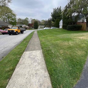 lawn care by San City Lawn Care reviewed on March 1, 2024