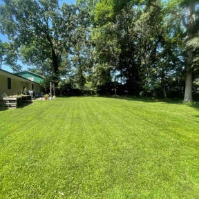 yard service by TRiM Lawn Detail reviewed on November 22, 2025